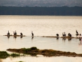Lake-Nakuru-Vogelgruppe
